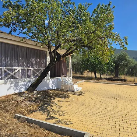 Olive Hill لايميناس