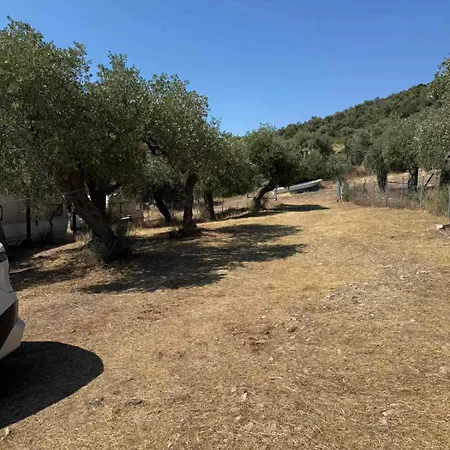 Olive Hill لايميناس