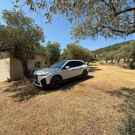 Olive Hill بيت للعطل *